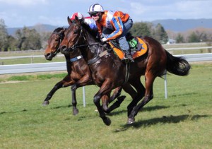 SIR DARCI winning trial August 6th Te Teko