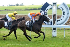 PRINCE HENRY wins Taupo 19th September 2014. Picture courtesy of Race Images