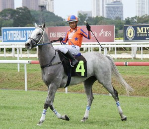 Our River Dancer victorious  in Penang Christmas Day 2016