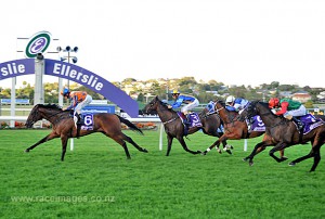 SIR DARCI winning at Ellerslie 12th February 2014 Picture courtesy of Race Images Palmerston North